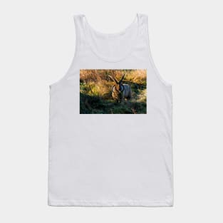 Rare breed sheep in pasture Tank Top